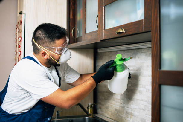 Best Pest Control Treatment  in Sargent, TX