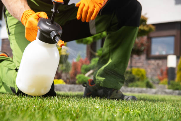 Best Exterminator Services  in Sargent, TX
