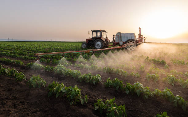 Best Best Pest Control Companies  in Sargent, TX