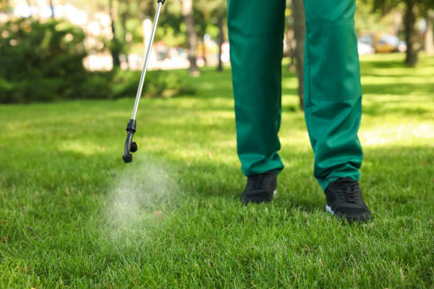 Best Termite Control Services  in Sargent, TX