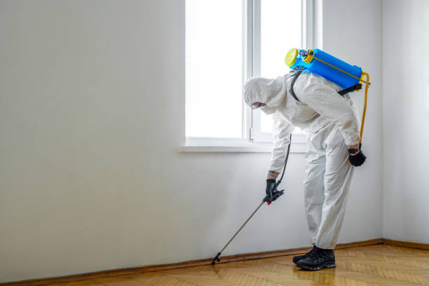 Wasp Removal Services in Sargent, TX