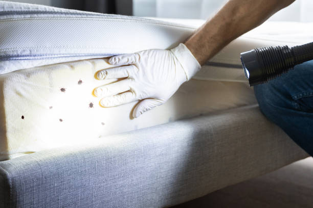 Best Best Pest Control Companies  in Sargent, TX
